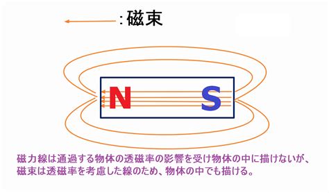 磁場影響|磁場が物質の挙動に及ぼす影響